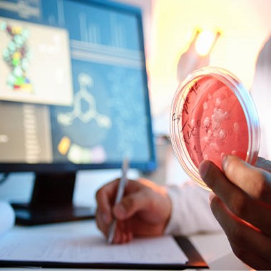 Professzionális laboratóriumi góckutatás, általános állapotfelméréssel, validált lelettel, Főorvosi kiértékeléssel