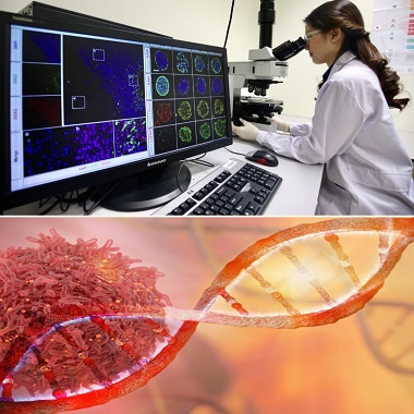 6SZOROS rákmegelőzés a Gellért Női, Férfi daganatszűrő csomaggal