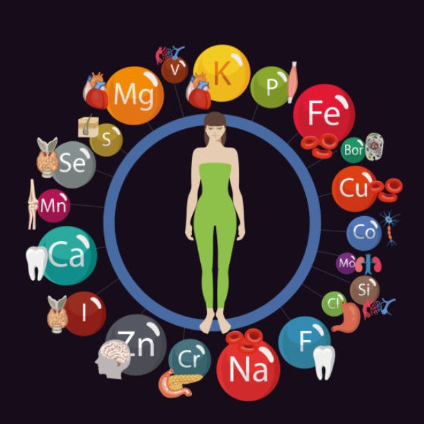 A szervezet vitamin és ásványi anyag ellátottságának laborvizsgálata