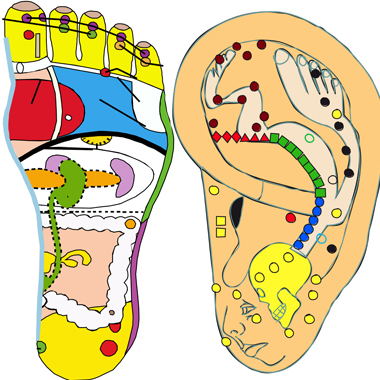 Keleti gyógyduett: Immunerősítés és méregtelenítés talprefllexológiával és fülakupunktúrával
