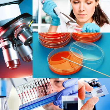 Ötszörös rákmegelőzés: 5 féle laboratóriumi tumor marker vizsgálat Nőknek, Férfiaknak