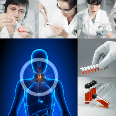 Pajzsmirigy-, immun-, hormonszűrés a színvonalas Budai Magánorvosi Centrumban, előleggel