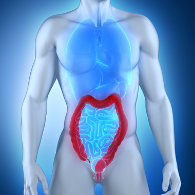 Proktológiai vizsgálat aranyérpanaszok orvoslására és végbélrák megelőzésre