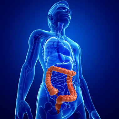 Proktológiai vizsgálat aranyérpanaszok orvoslására és végbélrák megelőző állapotok szűrésére.