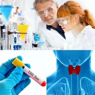 Főorvosi laboratóriumi pajzsmirigyhormon-, immunrendszer-szűrés 2 tumormarker vizsgálattal