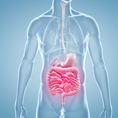 A stressz a gyomrodra megy? Széleskörű gyomor és bélrendszeri szűrővizsgálat csomag.