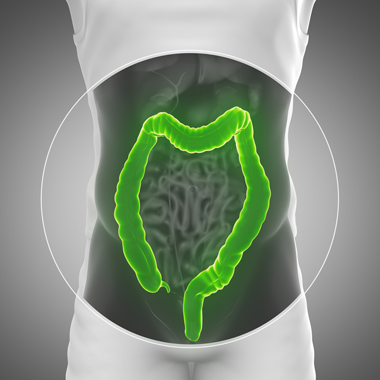 Van, amikor nem tűr halasztást! Szakorvosi proktológiai vizsgálat aranyér ellen, végbélrák megelőzésére.