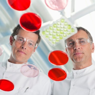 Laborvizsgálat a hólyagrák, a vastagbélrák, a gyulladásos bélbetegség és a D-vitamin hiány felismerésére. 