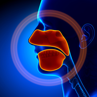 Gyakran cseng, zúg a füled, begyulladt a hidegtől? Teljes körű fül-orr-gégészeti szűrővizsgálat.