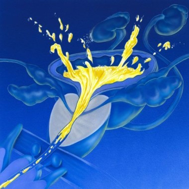 Totál prosztataszűrés vérből, plusz vizelet, plusz vérkép, plusz gyulladások CRP vizsgálata