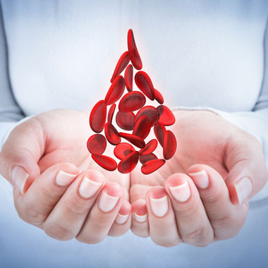 Vércseppanalízis, Candida-teszttel és ételintolerancia teszttel 20 allergénre, orvosi szakvéleménnyel és javaslattal!