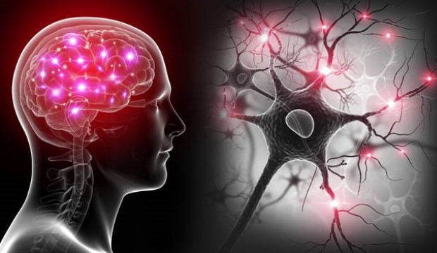 Tévhit történet, és az igazság: csak az agyunk 10%-át használjuk