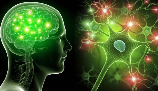 Tévedés! 4 dolog, ami NEM pusztítja az agysejtjeidet