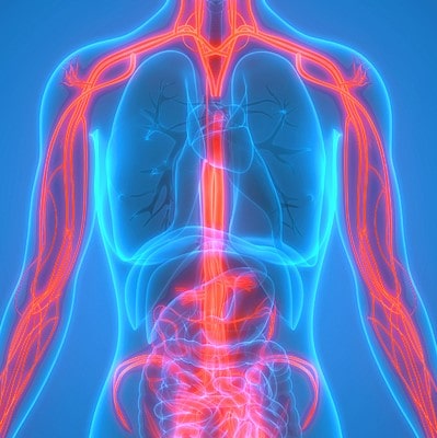 Átfogó angiológiai kivizsgálás a Benyovszky Orvosi Központban