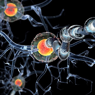 Többlépcsős autoimmun laborvizsgálat a Gellért Medical Laborban előleg