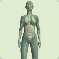 ESG Bemutató Videó