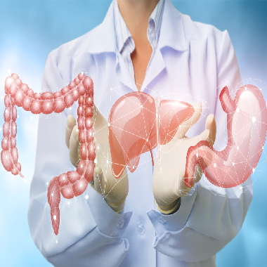 26 pontos 3D NLS  komplementer emésztőrendszeri szűrés kétalkalmas frekvenciaterápiával