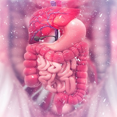 Gyulladásos bélbetegségek kiszűrésére szolgáló vizsgálat csomag a Gellért Medical Laborban előleg