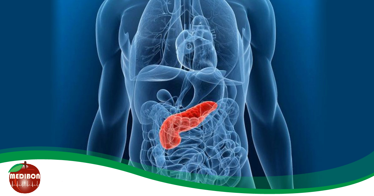 Hogyan jelzi a bajt a hasnyálmirigy?