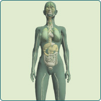 ESG bemutató videó