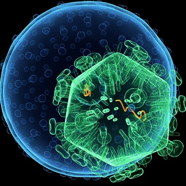 Betegségfelderítés: komplex laborvizsgálat a rejtőzködő betegségekre a Gellért Medical Laborban