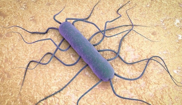 Lisztériafertőzés: 29 100 tonna gyorsfagyasztott zöldséget hívtak vissza&nbsp;