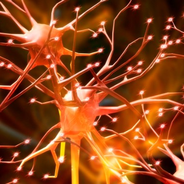 Szakorvosi neurológiai kivizsgálás