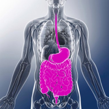 Emésztési zavarok és vastagbélrák laboratóriumi szűrőcsomag