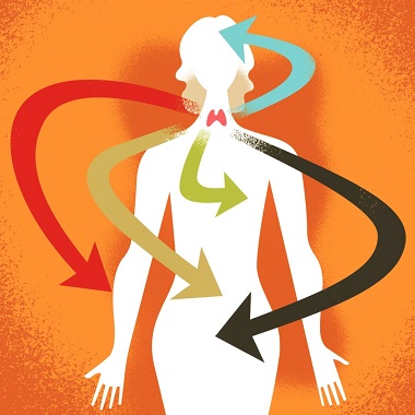 Laboratóriumi pajzsmirigy vizsgálat lelettel,a Gellért Medical Laborban