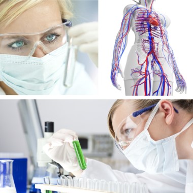 Érelmeszesedés kockázatának vizsgálata vérvétel segítségével