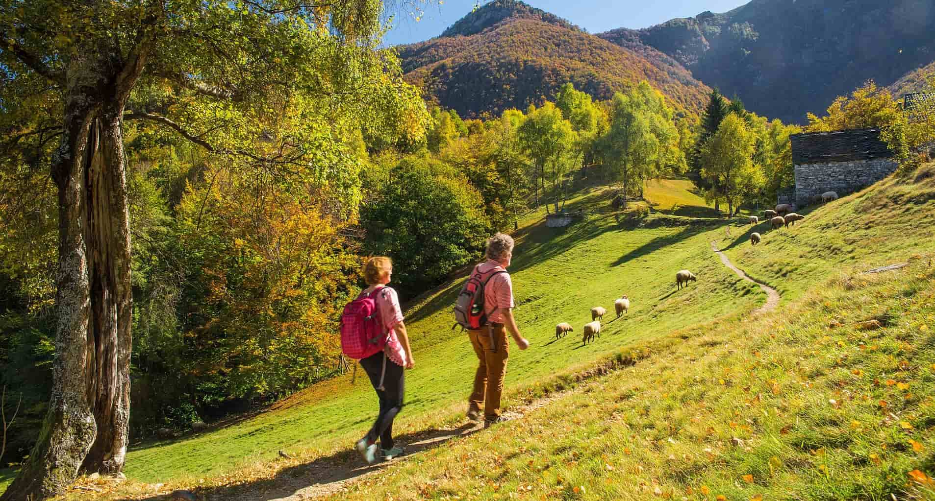 Így sétálhatsz le 5 kiló felesleget