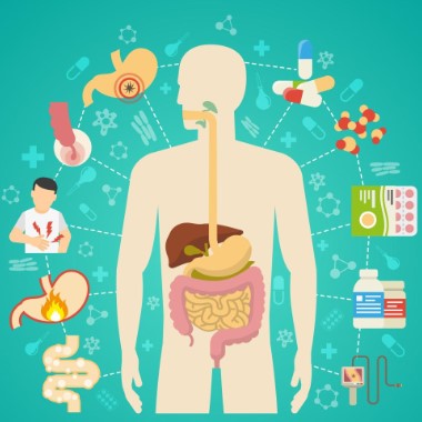 Speciális emésztőrendszeri laborvizsgálat az Oktogonon