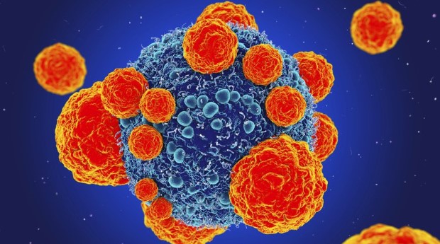 Új módszer a rák ellen.<br />
Mérföldkőhöz érkeztünk?