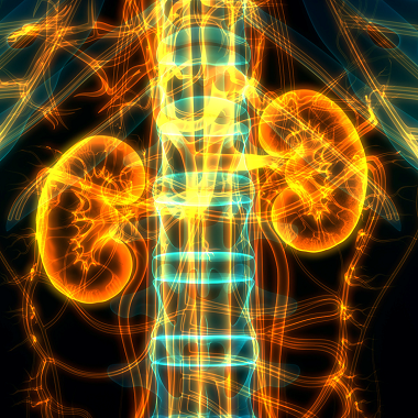 Urológiai kivizsgálás csomag Férfiaknak, PSA vizsgálattal a Benyovszky Orvosi Központban